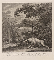 KG 01054
          <br/>
          Jachthond bij patrijzen
          <br/>
          <em>Ridinger, Johann Elias (1698-1767)</em>